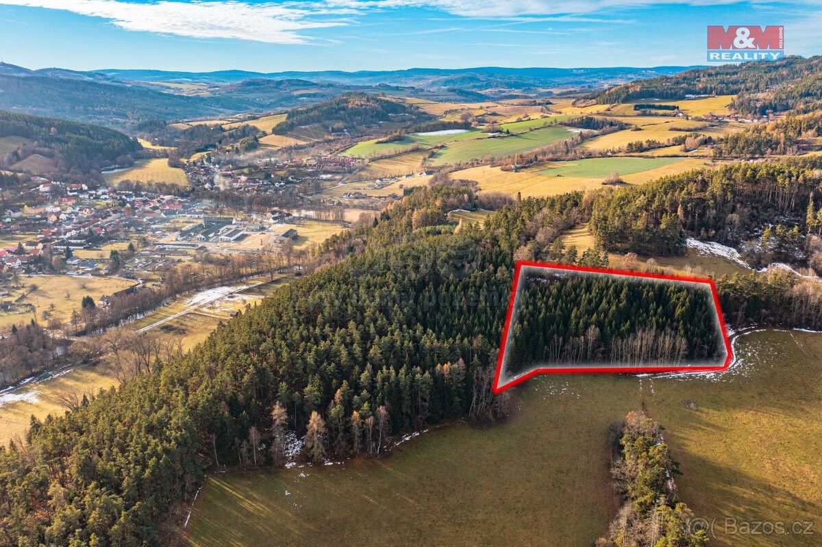 Prodej les - Volyně, 387 01, 13 448 m²