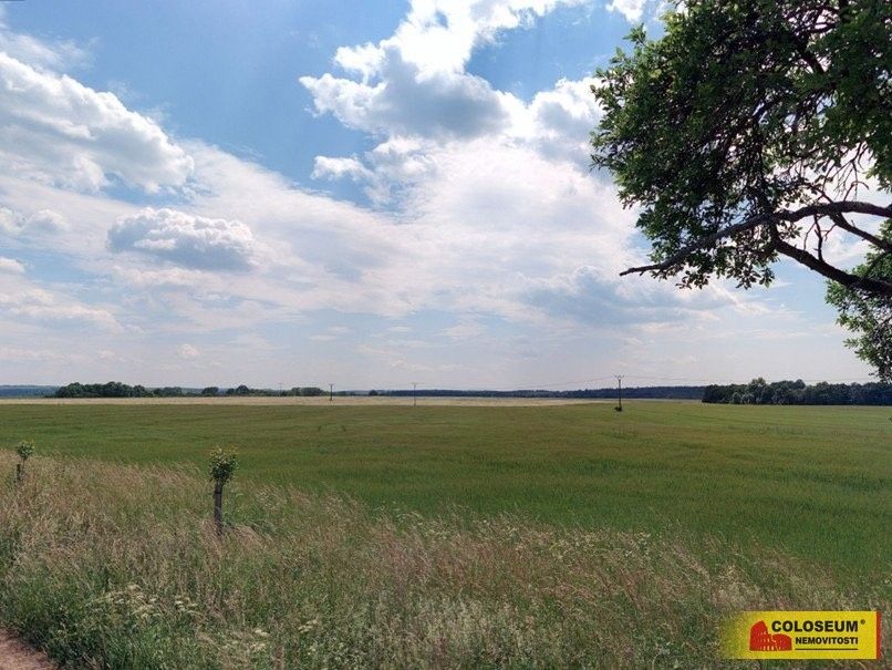 Prodej zemědělský pozemek - Sloup