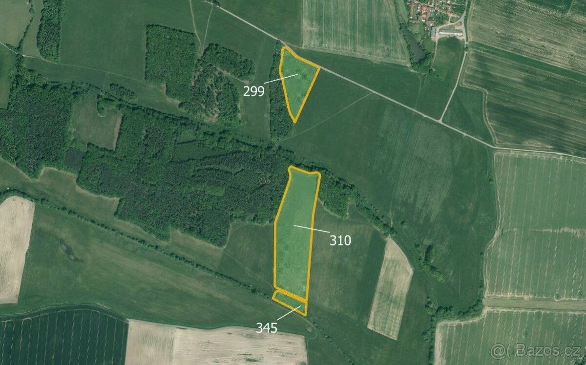 Prodej zemědělský pozemek - Netolice, 384 11, 71 413 m²