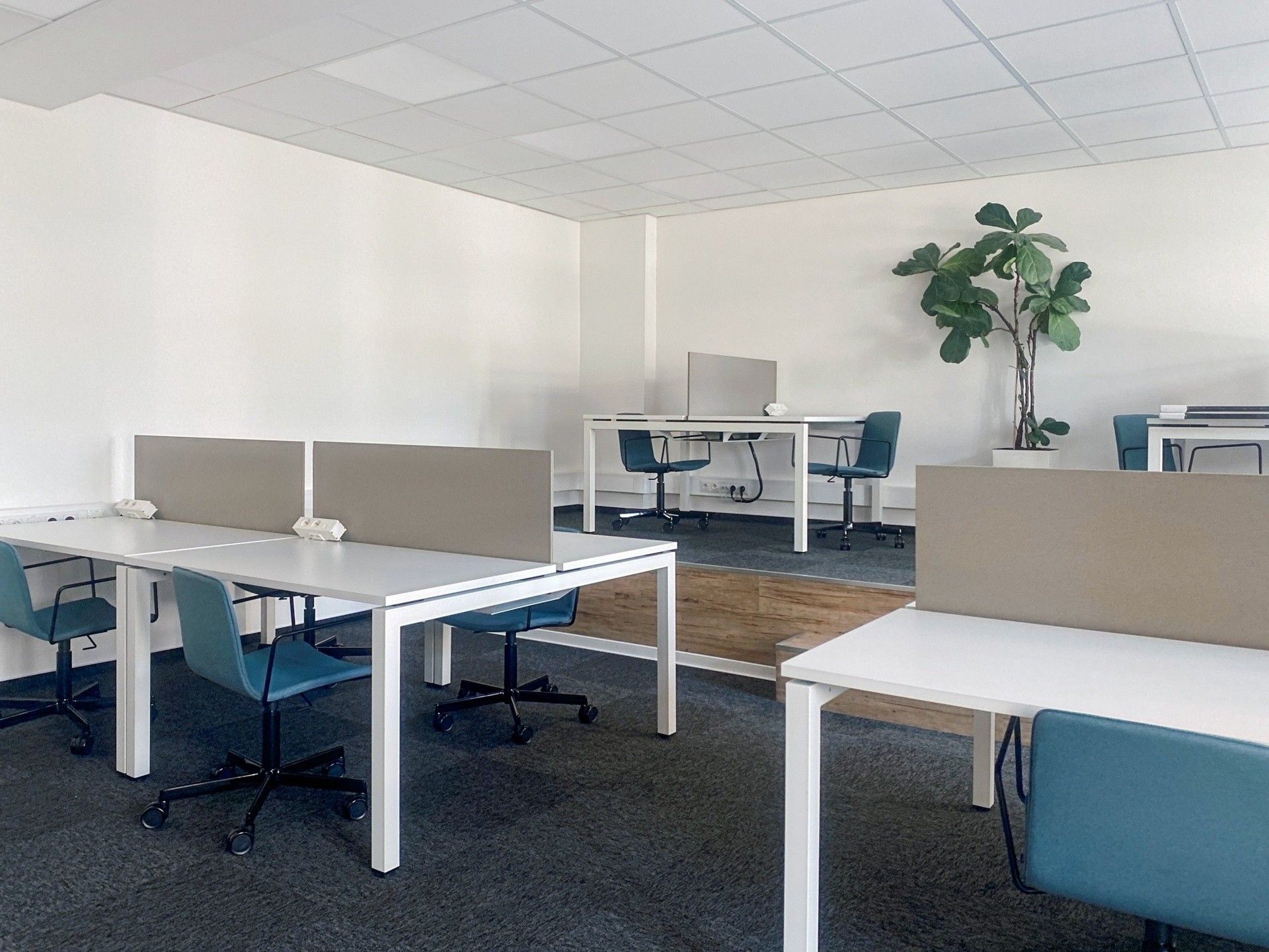 Kanceláře, 28. října, Ostrava, 30 m²