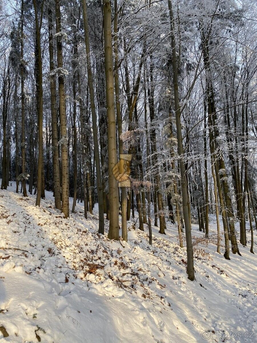 Prodej les - Vsetín, 755 01, 8 657 m²