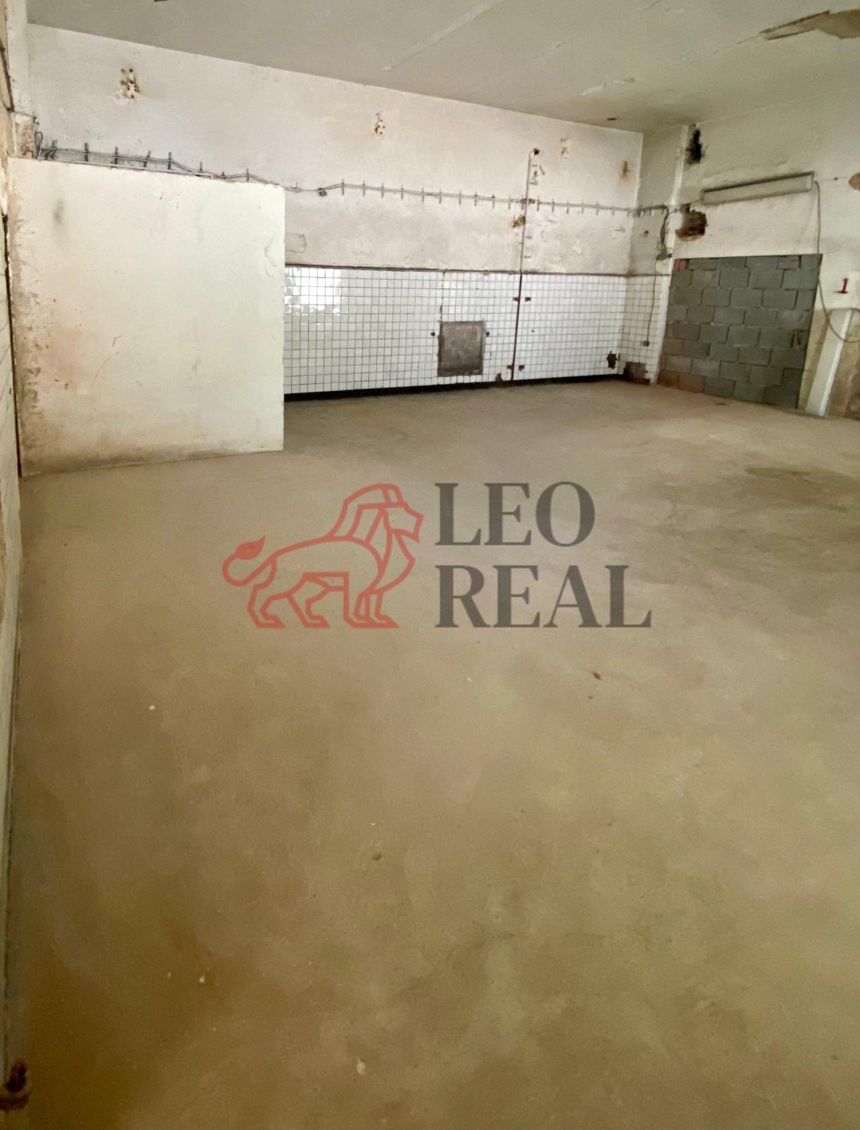 Sklady, Drážďanská, Ústí nad Labem, 60 m²