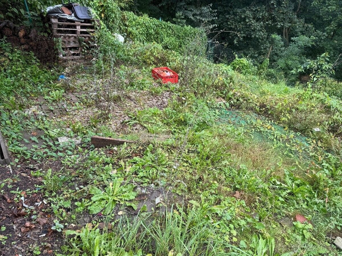 Pozemky pro bydlení, Bělá pod Bezdězem, 294 21