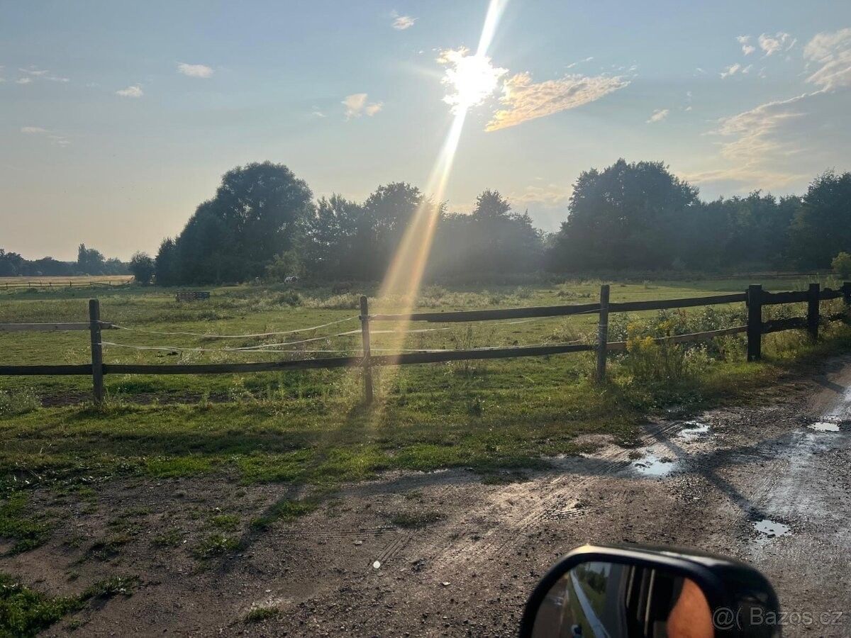 Pozemky pro bydlení, Dřísy, 277 14