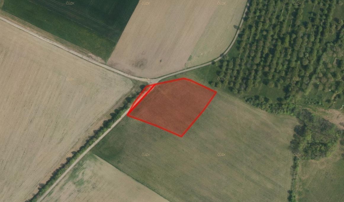 Pozemky pro bydlení, Luže, 538 54