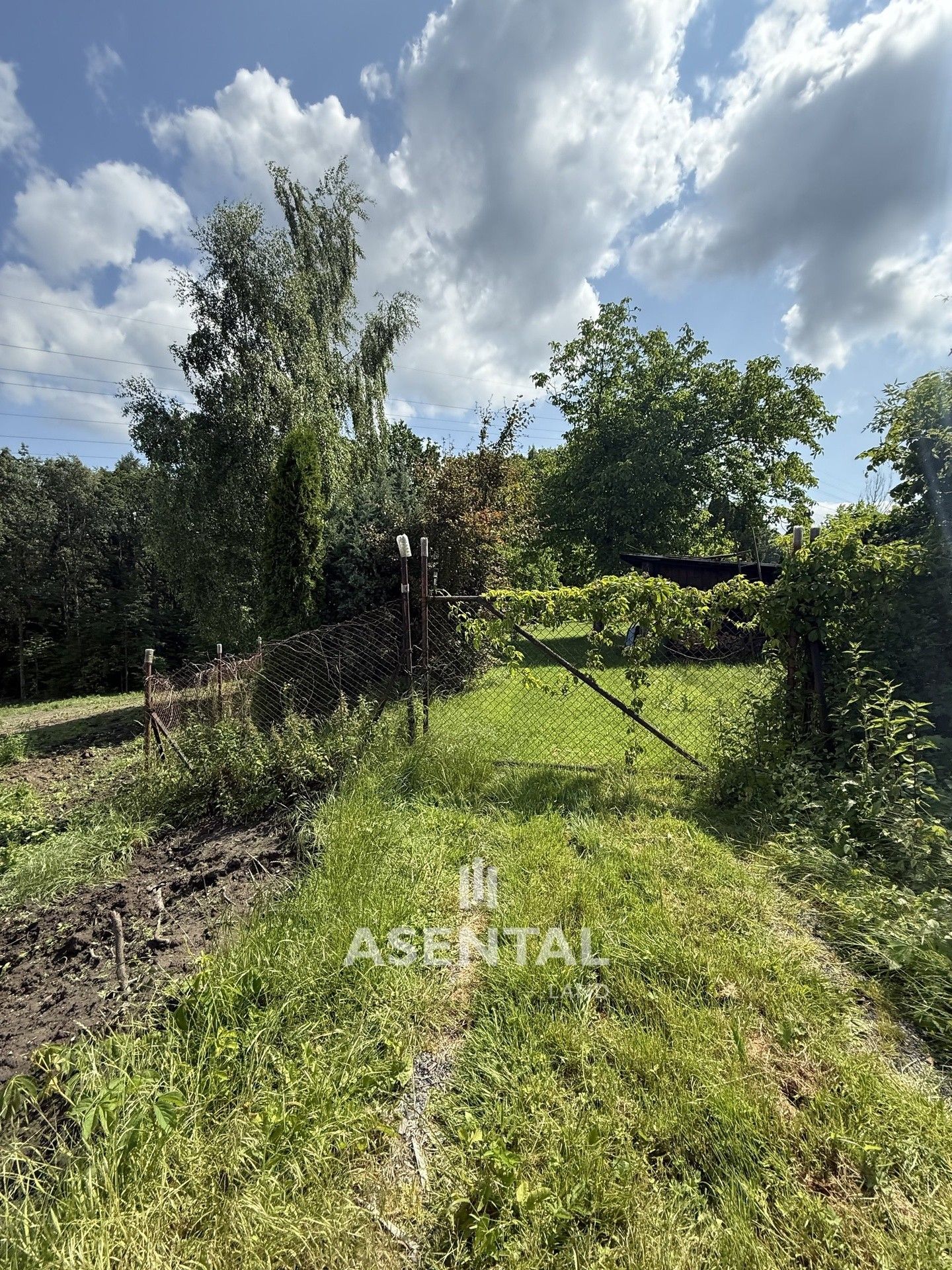 Pozemky pro bydlení, Haškova, Ostrava