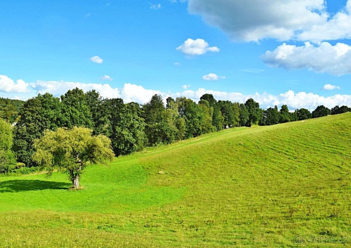 Ostatní, Hnátnice, 561 01, 5 229 m²