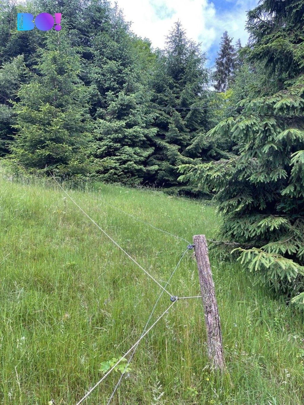 Lesy, Staré Hamry, 2 m²