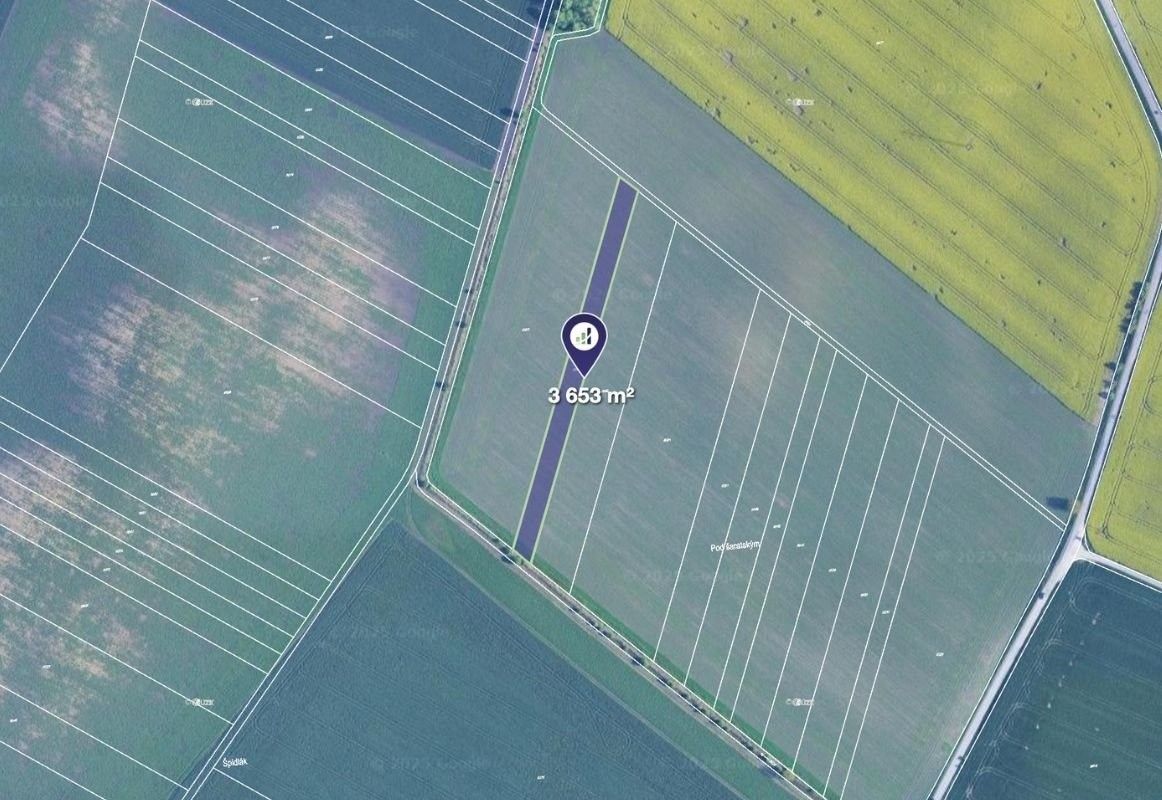 Zemědělské pozemky, Těšany, 3 653 m²