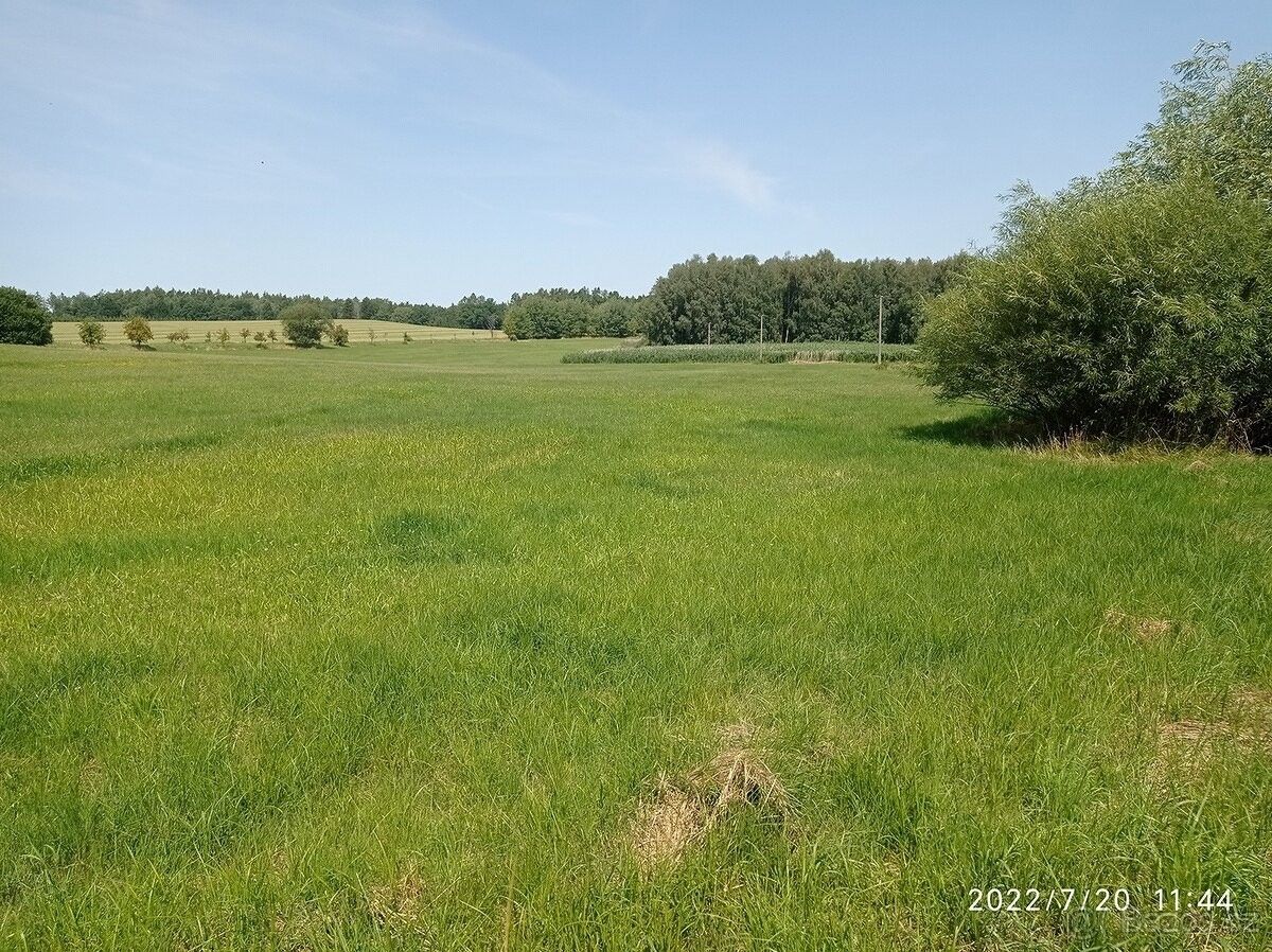 Pozemky pro bydlení, Heřmanův Městec, 538 03