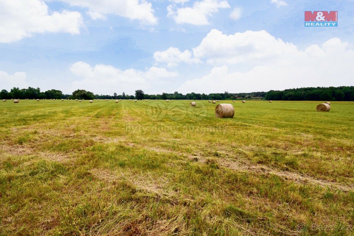 Zemědělské pozemky, Kostelec nad Orlicí, 517 41, 9 197 m²