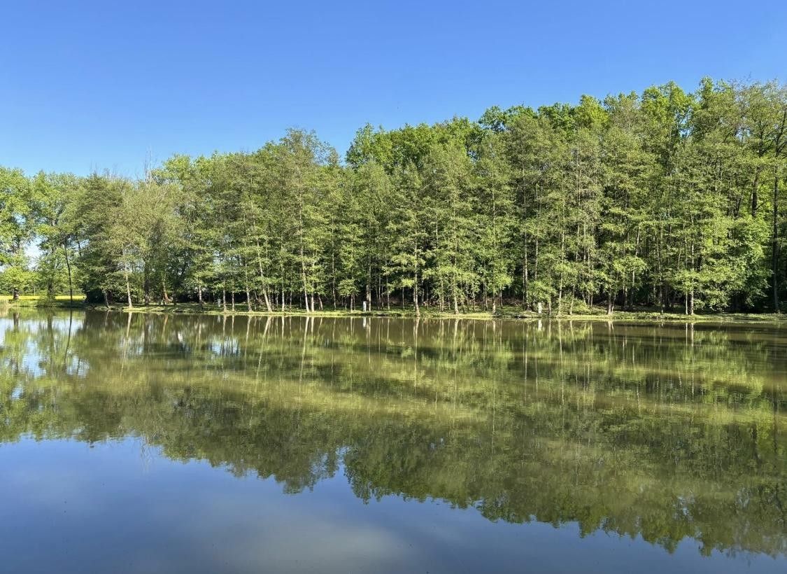 Prodej rybník - Pardubice VI, Pardubice, 21 421 m²