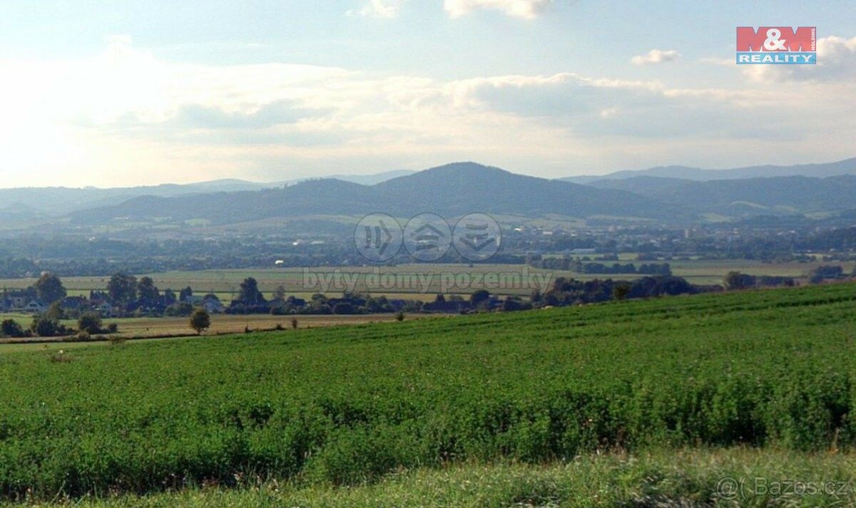 Zemědělské pozemky, Nový Malín, 788 03, 49 493 m²