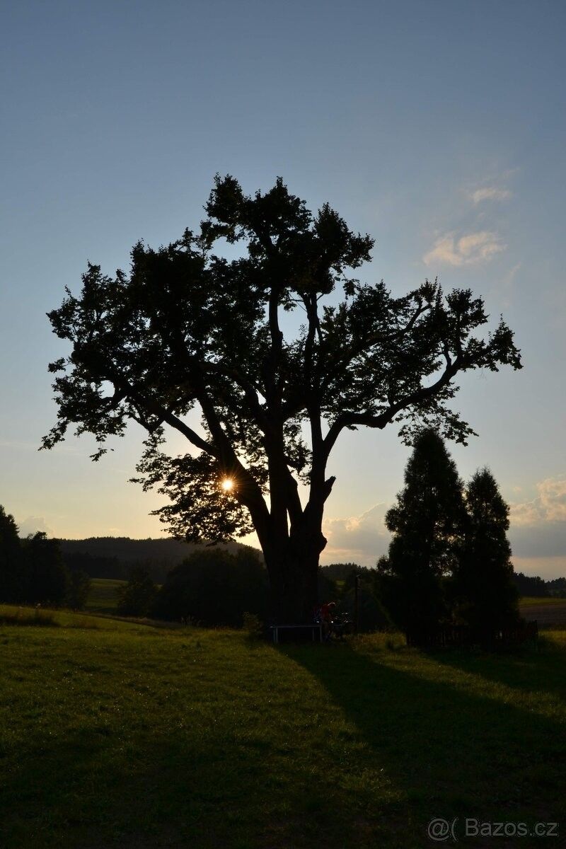 Pozemky pro bydlení, Dolní Dobrouč, 561 02