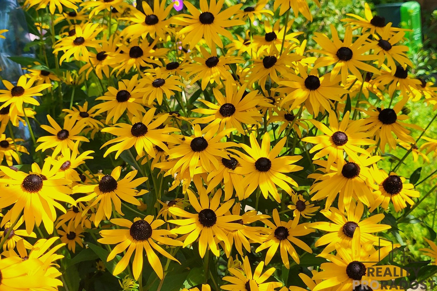 Zahrady, Moravský Krumlov, 756 m²