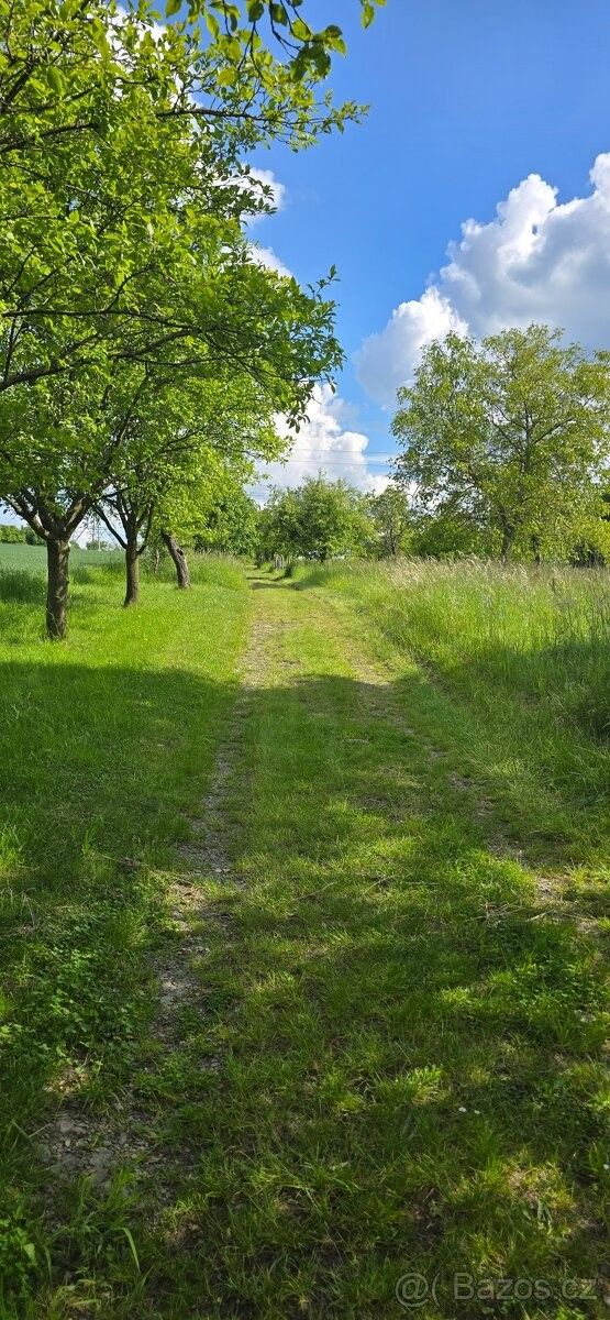 Zahrady, Lipník nad Bečvou, 751 31