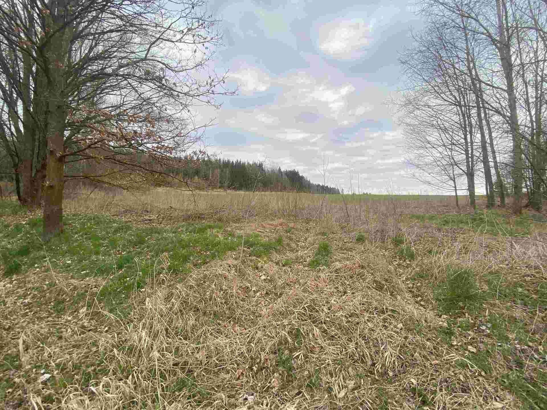 Zemědělské pozemky, Žinkovy, 33 366 m²