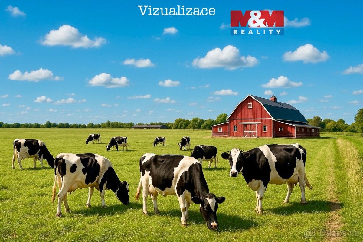 Pozemky pro bydlení, Barchov, 530 02