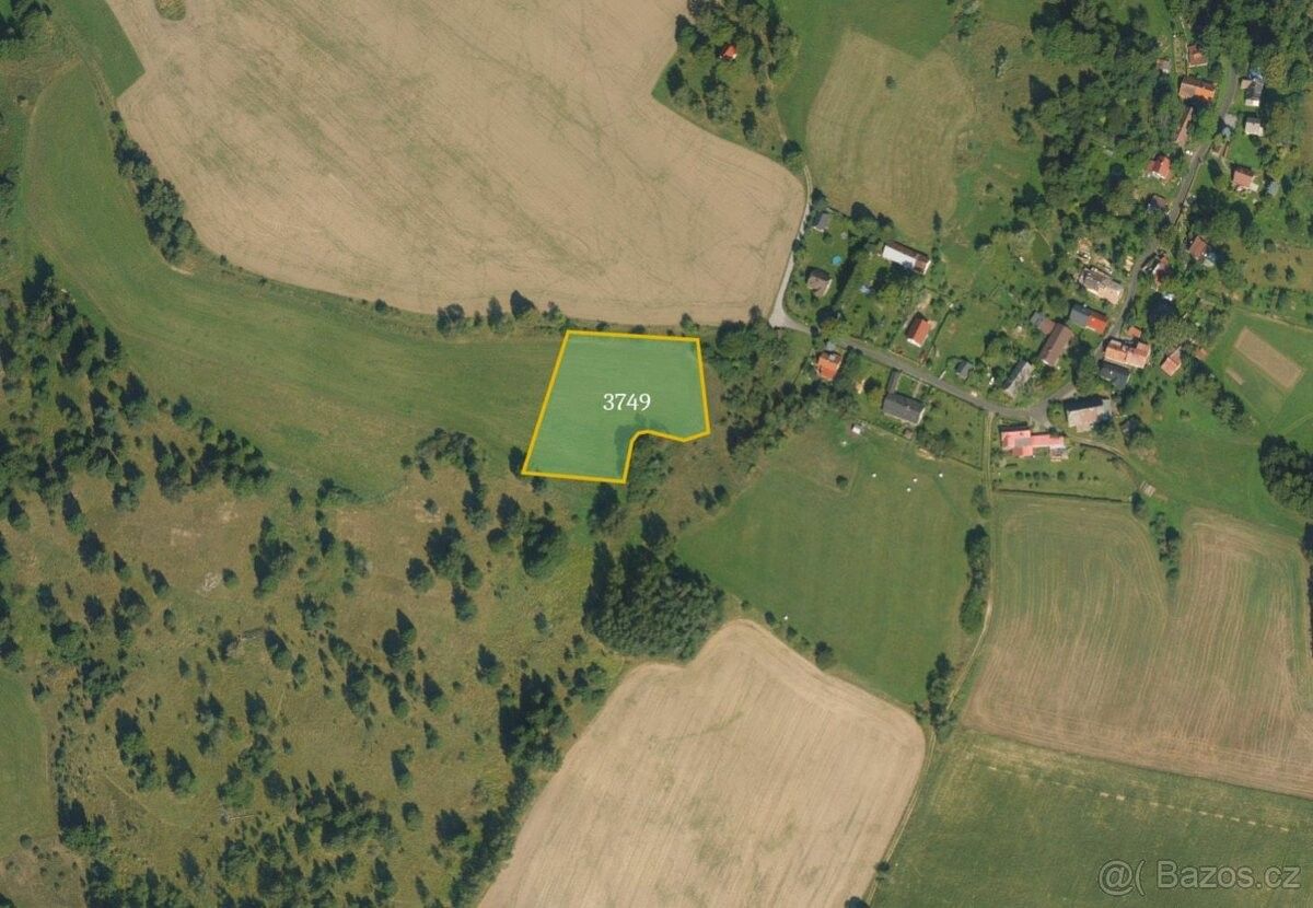 Prodej zemědělský pozemek - Trhová Kamenice, 539 52, 12 408 m²