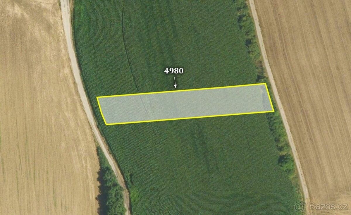 Prodej zemědělský pozemek - Diváky, 691 71, 9 296 m²