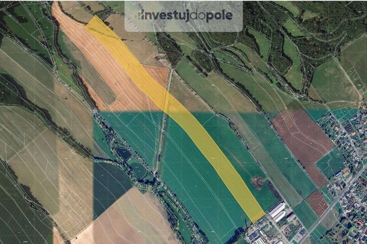 Zemědělské pozemky, Rapotín, 22 010 m²