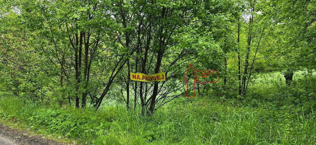 Pozemky pro bydlení, Veselá u Semil, 512 52