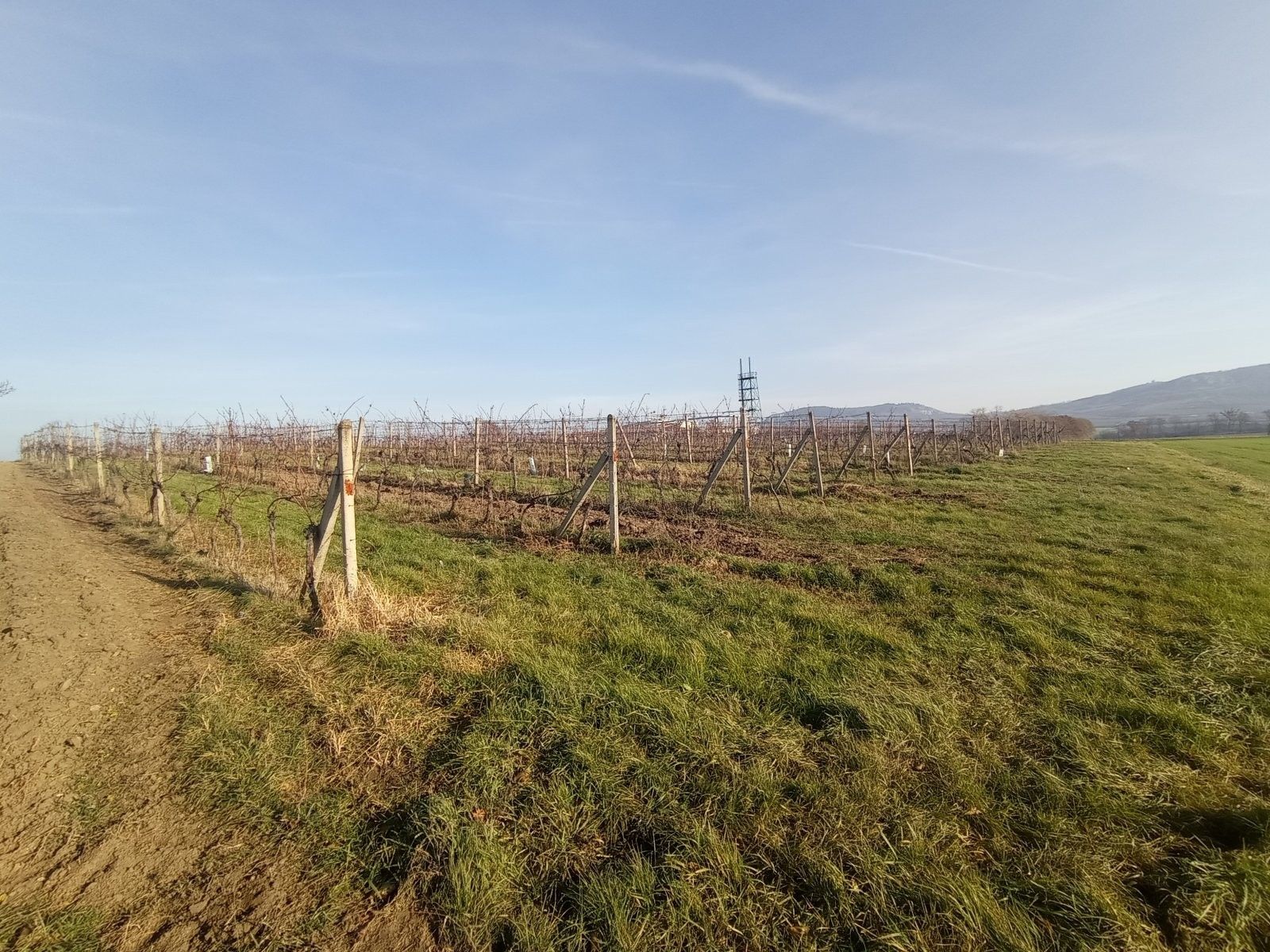 Ostatní, Dolní Dunajovice, 6 m²