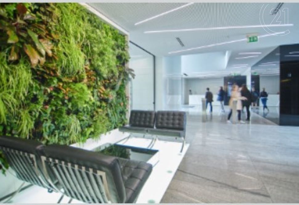 Kanceláře, Olbrachtova, Praha, 227 m²