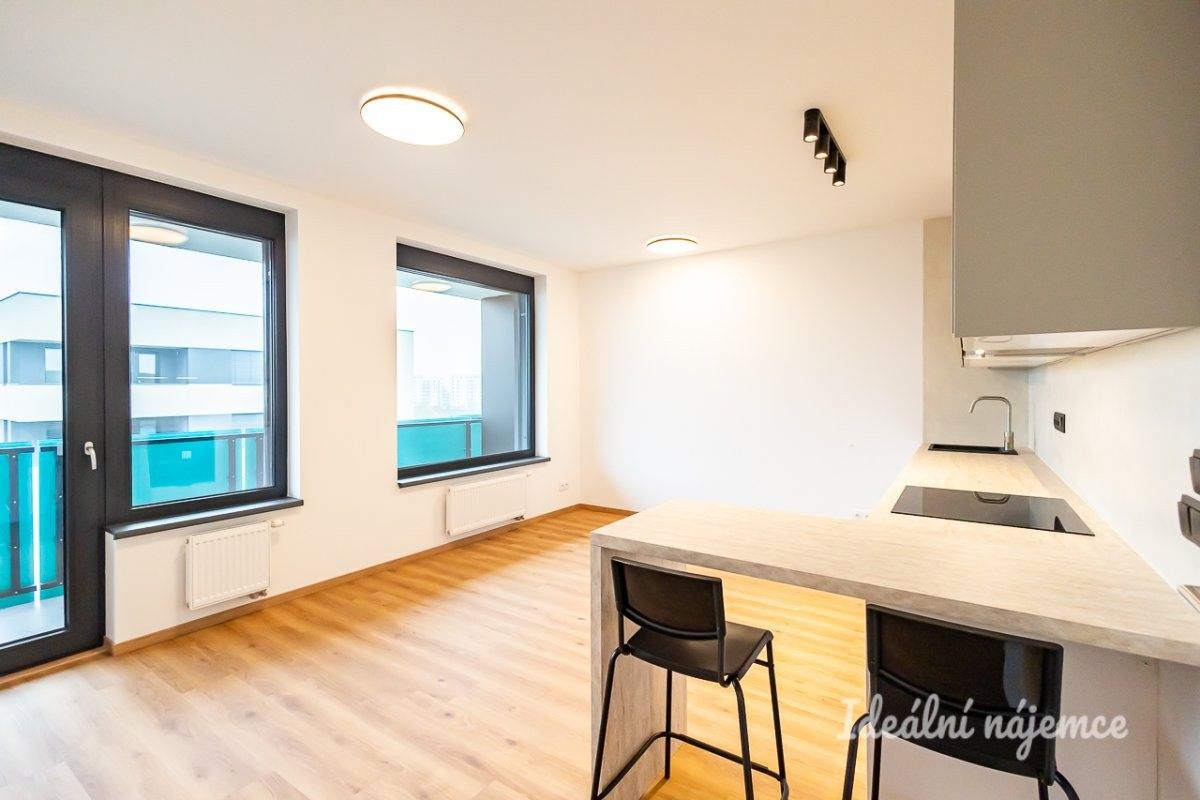 1+kk, Olgy Havlové, Praha, 32 m²