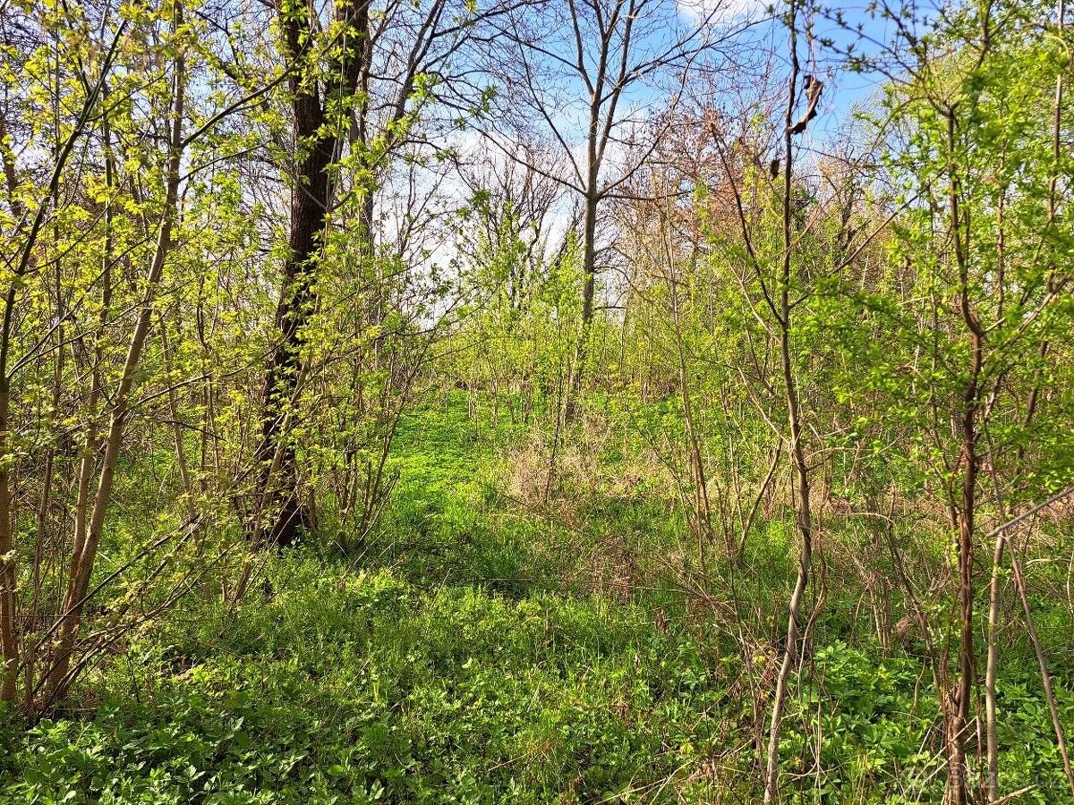 Zahrady, Veselí nad Moravou, 698 01