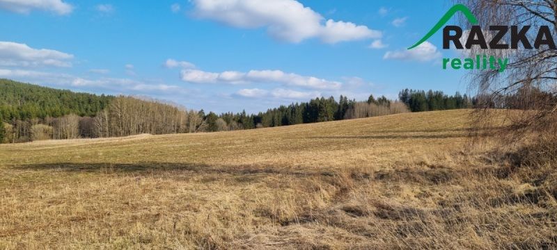 Prodej zemědělský pozemek - Halže