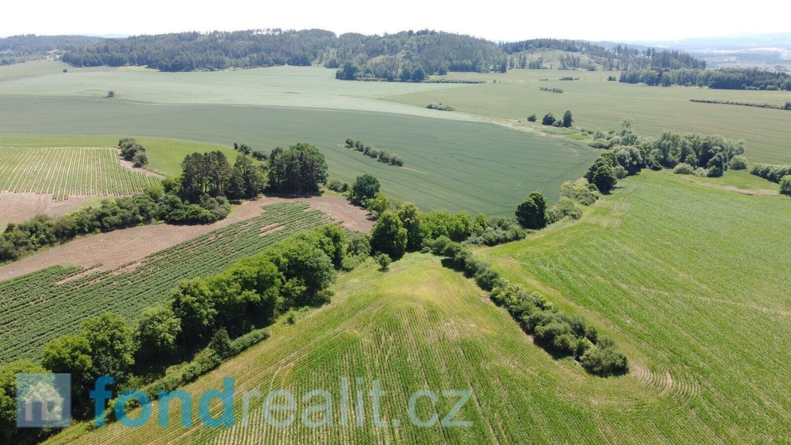 Ostatní, Radomyšl, 16 147 m²