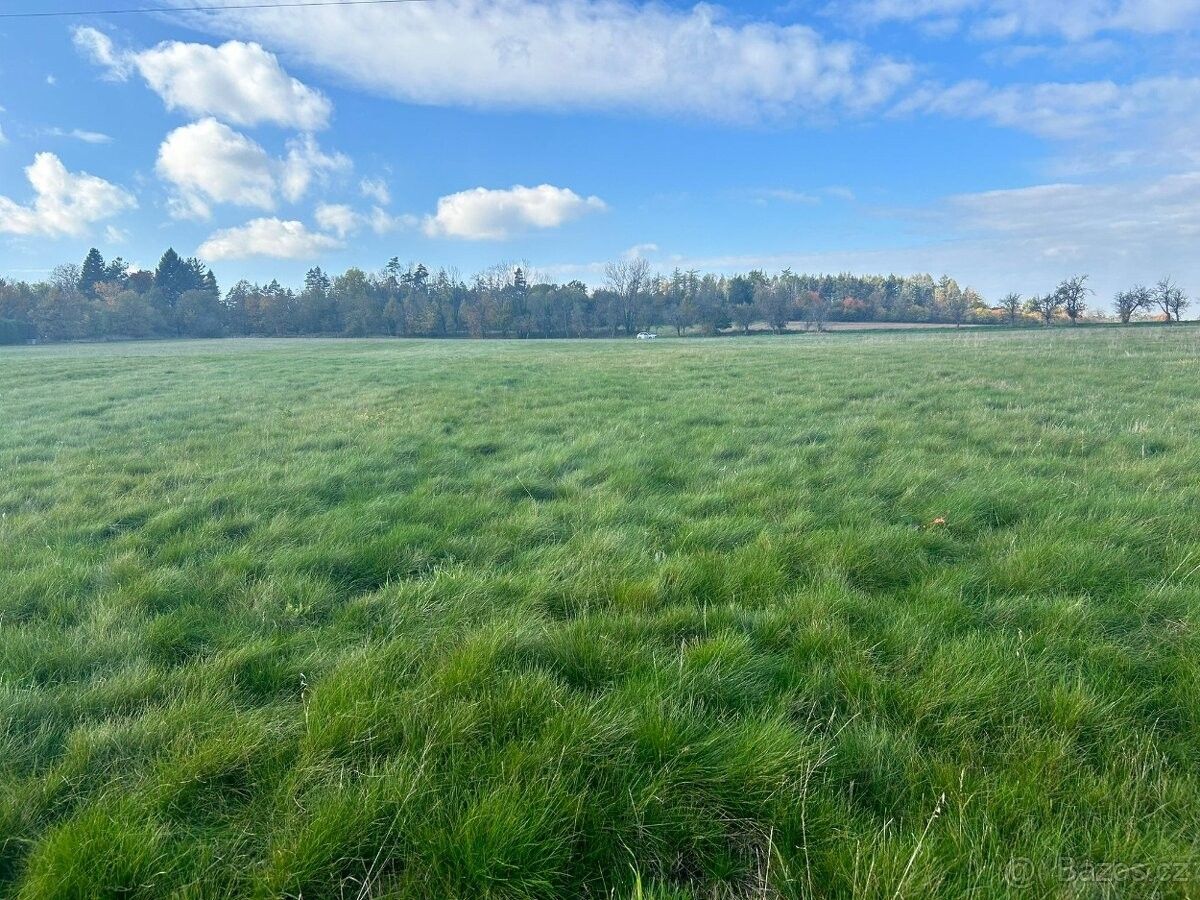 Zemědělské pozemky, Žumberk, 538 36, 59 612 m²