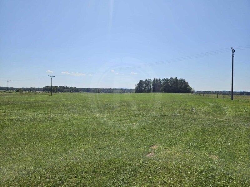 Prodej pozemek pro bydlení - Suchdol nad Lužnicí, 378 06, 5 727 m²