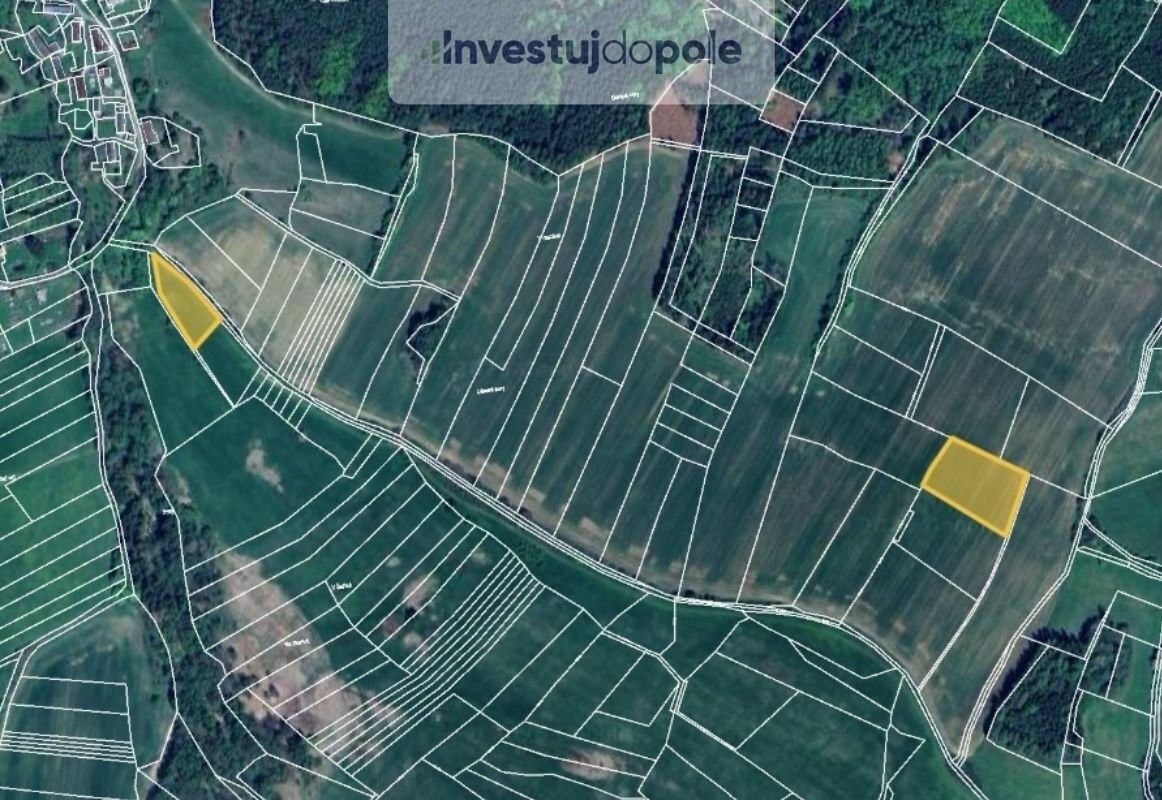 Zemědělské pozemky, Zavlekov, 7 300 m²