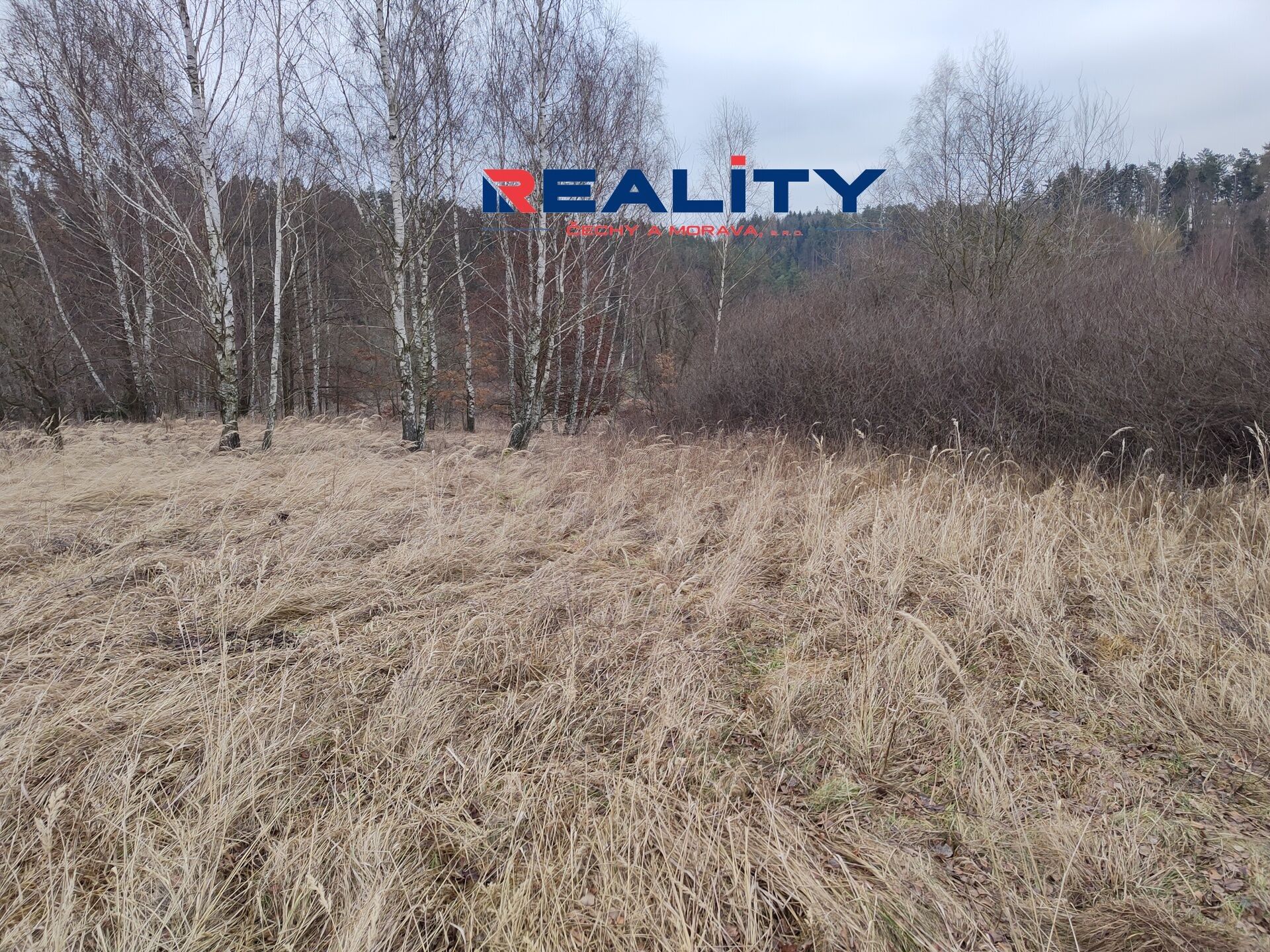 Zemědělské pozemky, Gruna, 4 m²