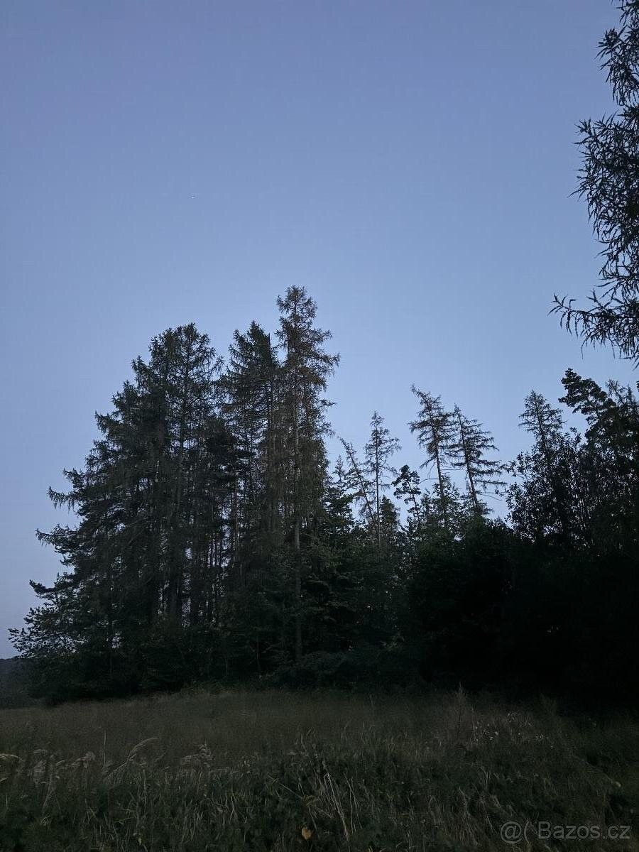 Pozemky pro bydlení, Proseč u Skutče, 539 44