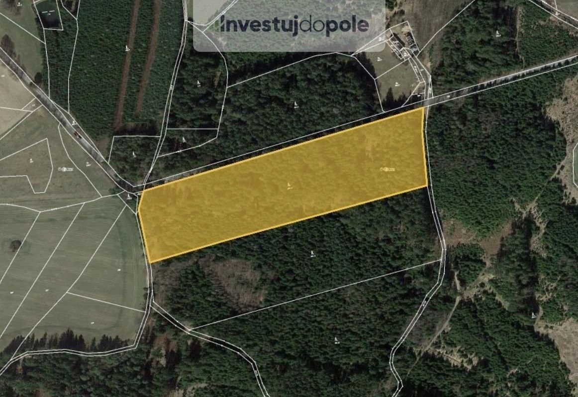 Lesy, Milevsko, 12 302 m²