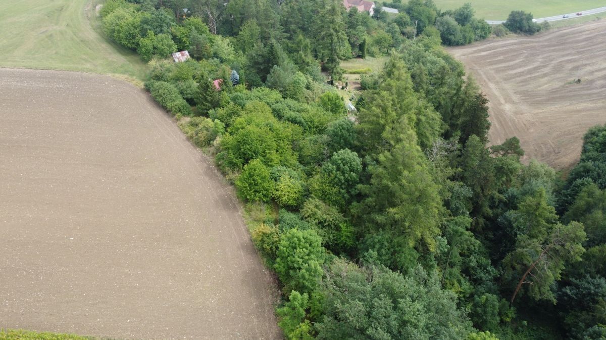 Prodej pozemek pro bydlení - Skuteč, 1 m²