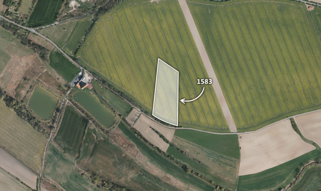 Zemědělské pozemky, Byšice, 13 180 m²