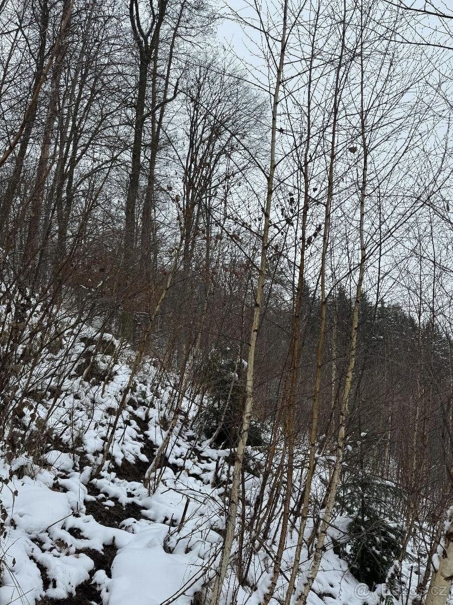 Prodej pozemek pro bydlení - Vysoká u Mělníka, 277 24