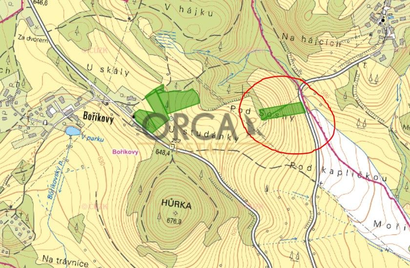 Prodej zemědělský pozemek - Kolinec, 341 42, 4 890 m²