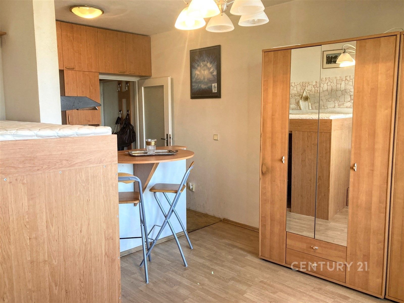 1+kk, Langrova, Brno, 24 m²