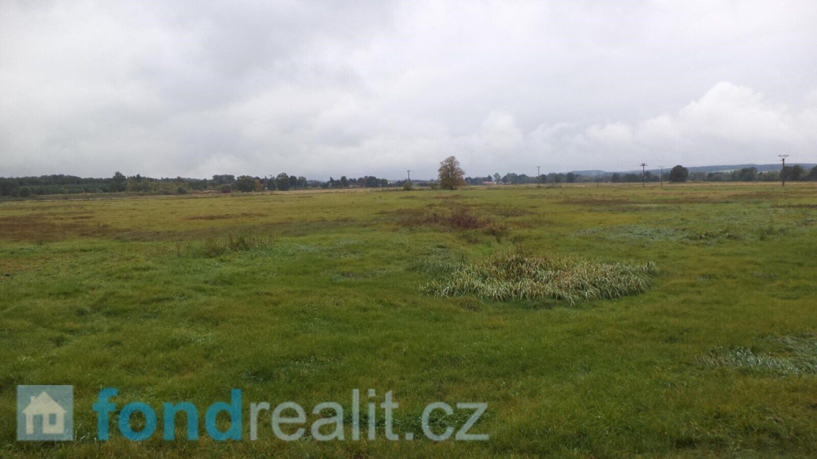 Prodej zemědělský pozemek - Plchovice, 1 m²