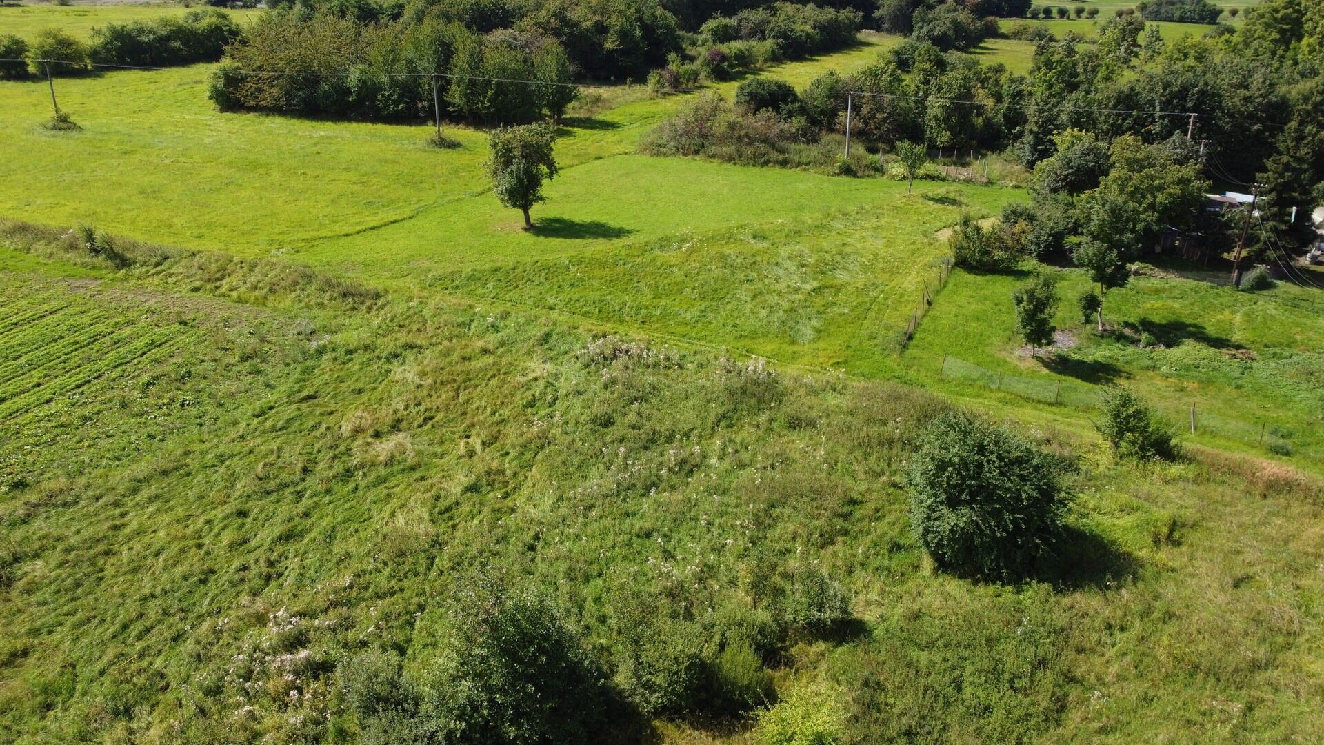 Ostatní, Veselov, Žlutice, 4 670 m²