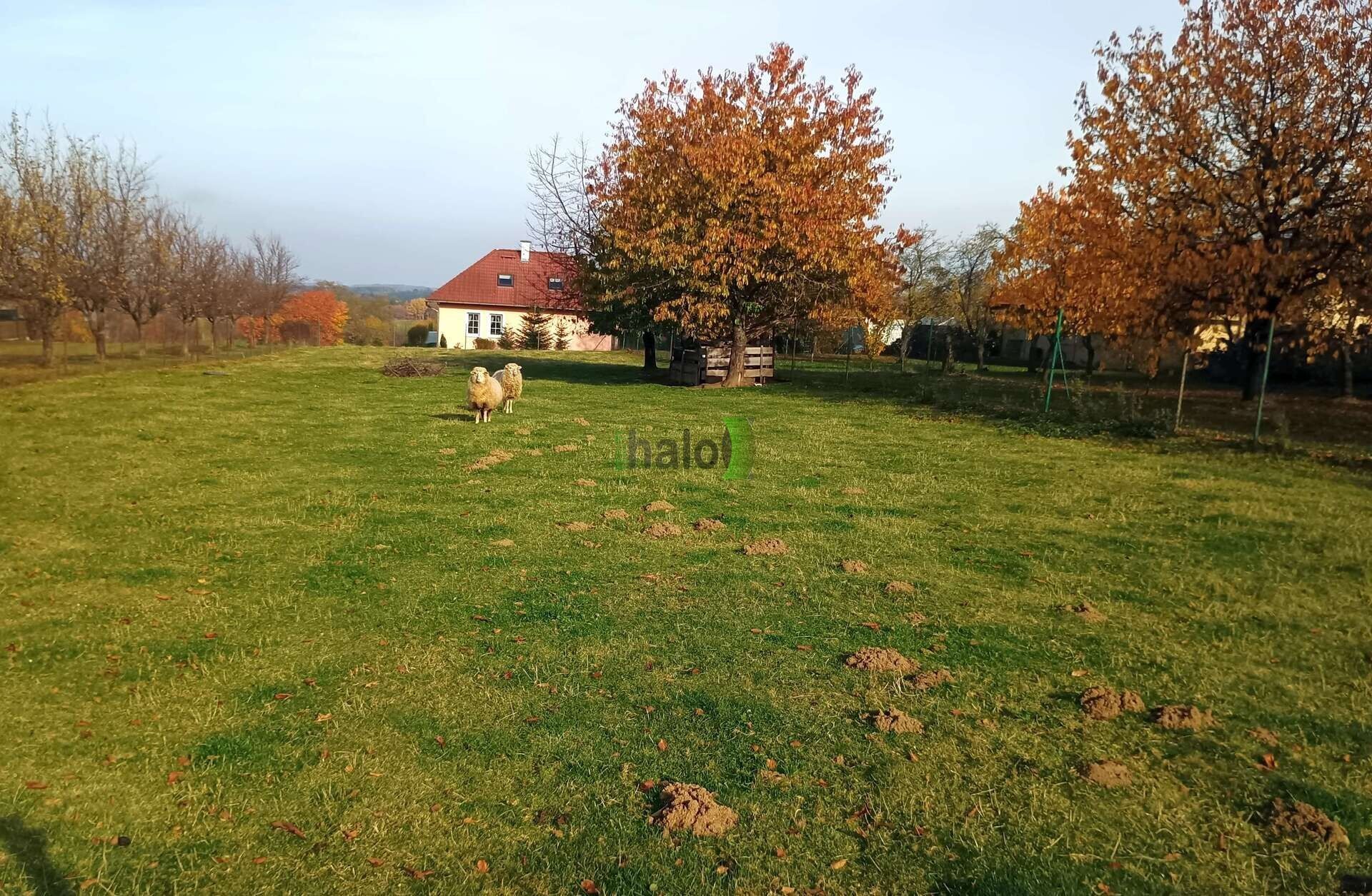 Pozemky pro bydlení, Lhenice, 2 386 m²