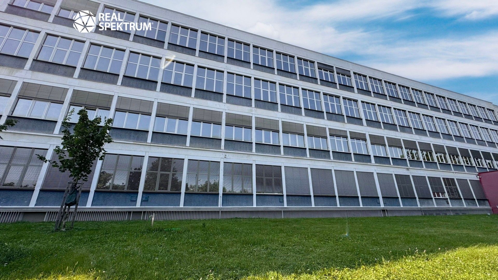 Kanceláře, Purkyňova, Brno, 1 386 m²