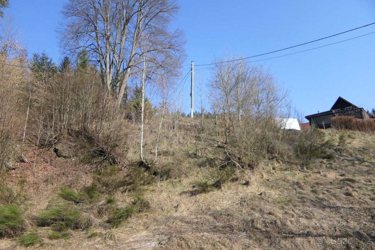 Pozemky pro bydlení, Všelibice, 463 48