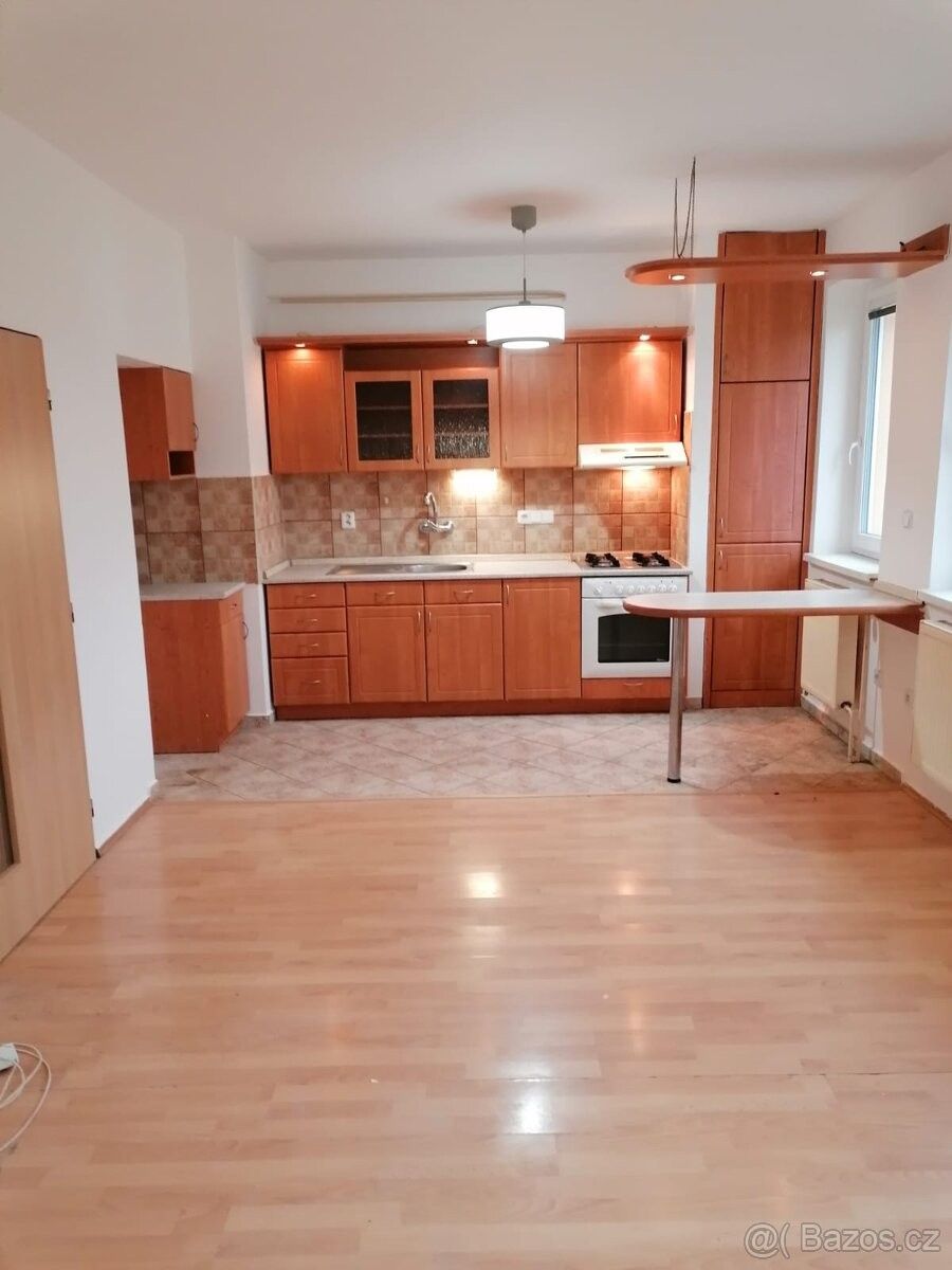 1+1, Hustopeče u Brna, 693 01, 45 m²