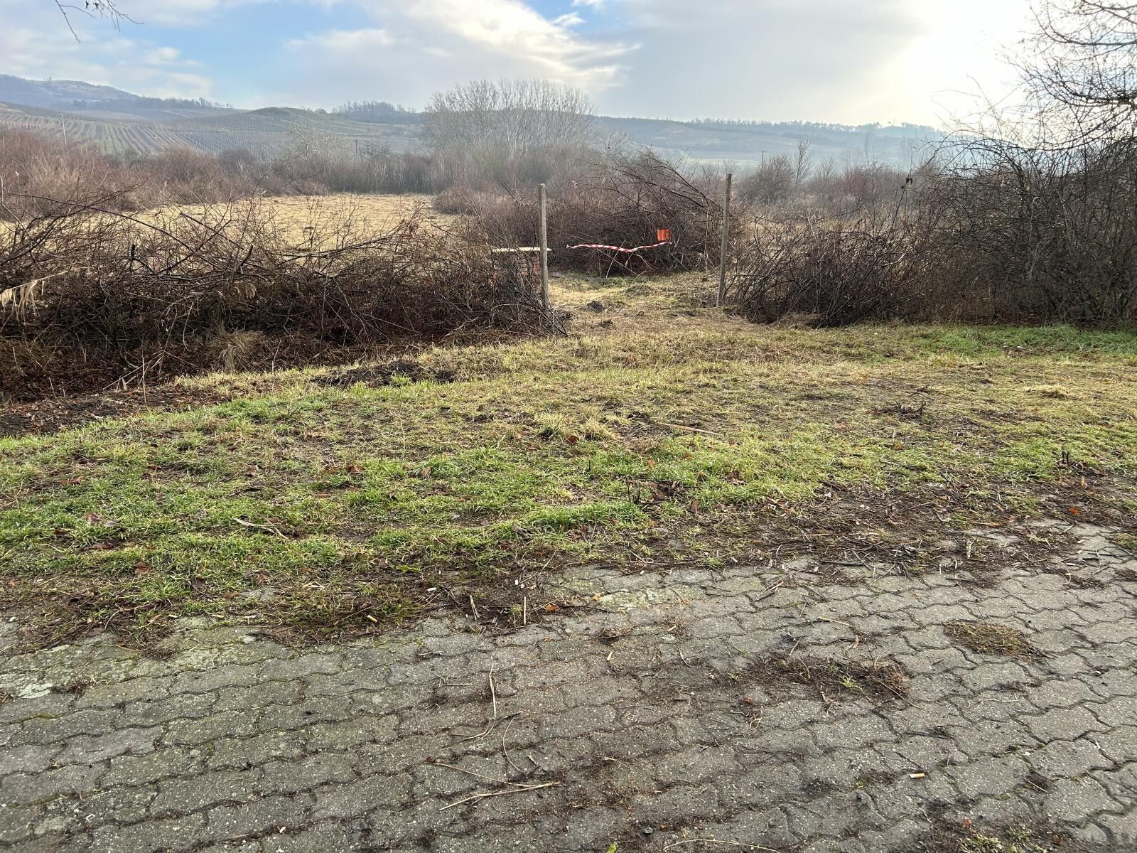 Zemědělské pozemky, Bavory, 4 009 m²